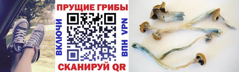 Галлюциногенные грибы ЛСД  это официальный сайт  Нефтекамск 